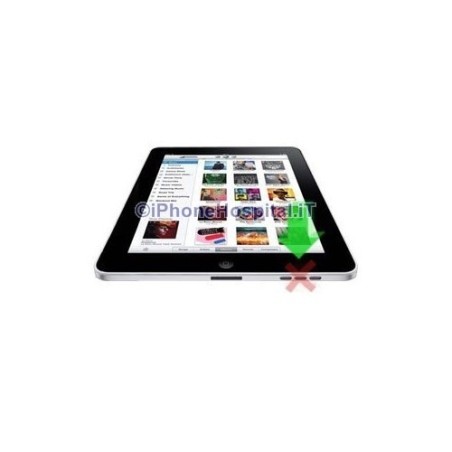 Remplacement du haut-parleur de l'iPad 2 - 1