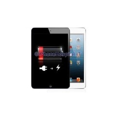 Reparação de LCD do iPad Mini - 1