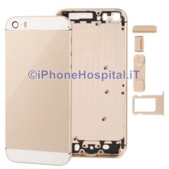 Cubierta trasera transparente dorada para iPhone 5S - 1