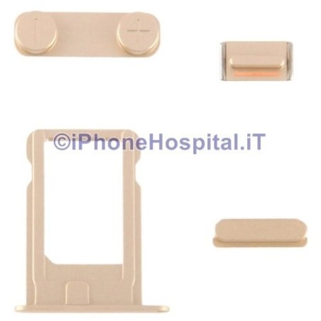 Cubierta trasera transparente dorada para iPhone 5S