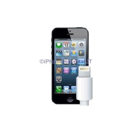 Remplacement du connecteur de charge de l'iPhone 5C - 1