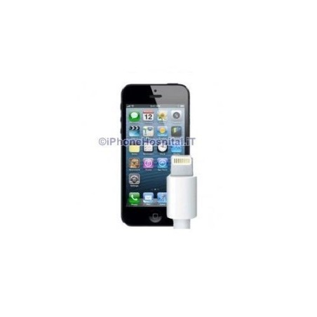 Substituição do Conector de Carregamento do iPhone 5 - 1