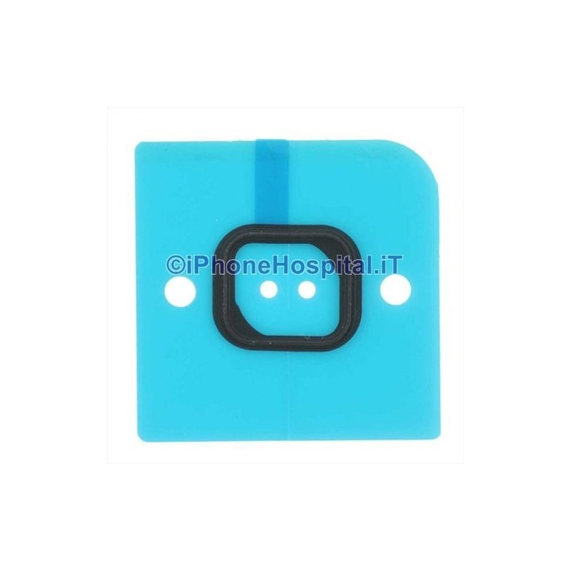Membrana Tasto Home per Apple iPhone 5C - 1 Membrana Tasto Home per Apple iPhone 5C - 1