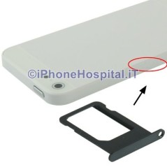 SIM Card Holder Black iPhone 5 A1428, A1429, A1442 - 1