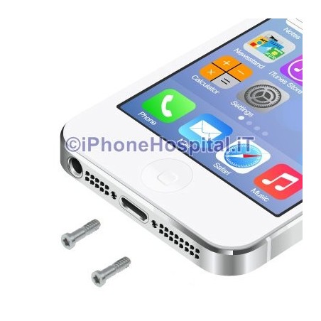 Jeu de 2 vis argentées pour iPhone 5/5S - 1
