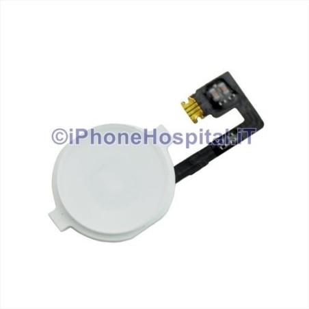 White Home Button with Flex for iPhone 4G - 2