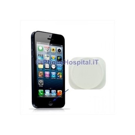 Bouton d'accueil blanc iPhone 5 - 1