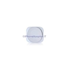 White iPhone 5 Home Button