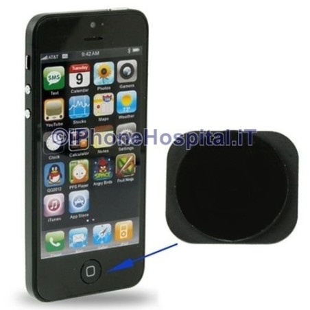 Black Home Button iPhone 5 - 2