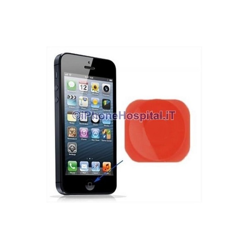 Botón Home rojo iPhone 5 - 3 Botón Home rojo iPhone 5 - 3