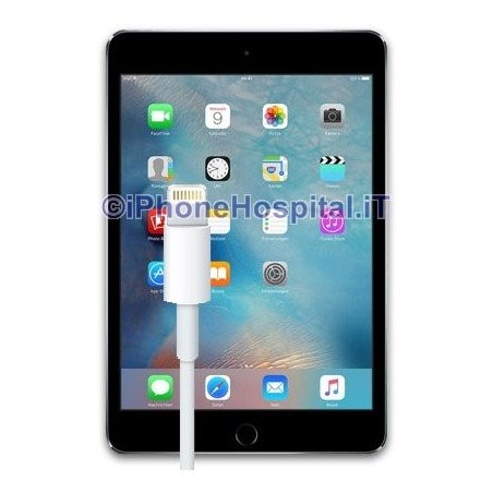 Serviço de reparação do conector de carregamento Lightning do iPad Mini 4 - 1