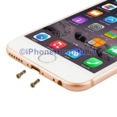 Coppia 2 Viti per iPhone 6 & 6Plus Colore Oro Gold  - 2