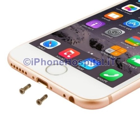 Par 2 Tornillos para iPhone 6 y 6Plus Color Oro - 2