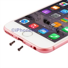 Coppia 2 Viti per iPhone 6 & 6 Plus Colore Rosa Oro - 2