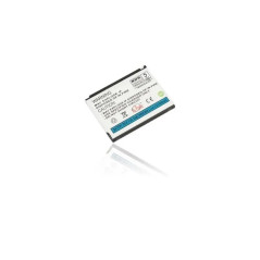 Batterie Interne pour Samsung D820/P300