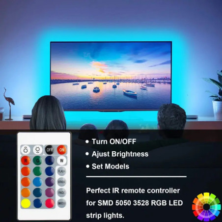Telecomando IR RGB ESann DC12V 4Pin 24 Tasti per Strisce LED
