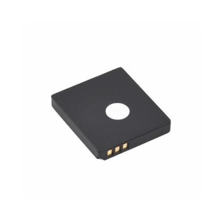 Batterie pour Ricoh CGA-S008 DMW-BCE10E