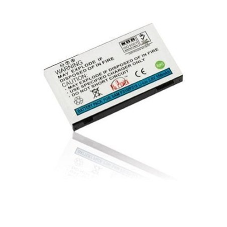 Batteria Interna per Samsung P310 Samsung - 1