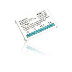 Batteria Interna per Panasonic X700 Panasonic - 1