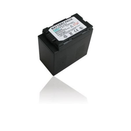 Panasonic Panasonic Batterie pour CGA-D54S - 1