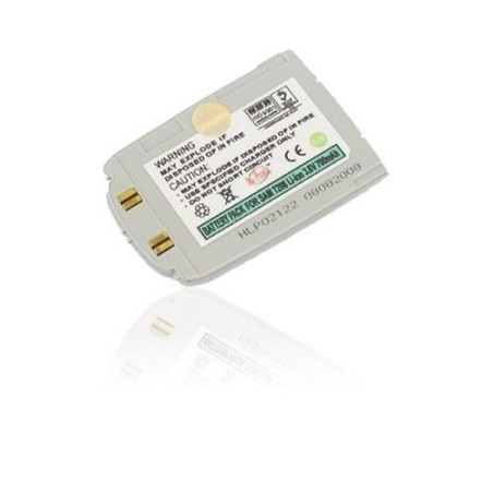 Samsung Batterie argentée pour T200