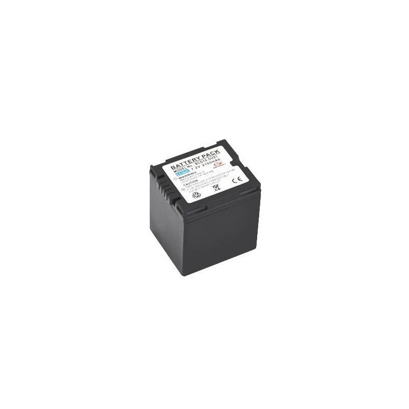 Panasonic Panasonic Batterie pour CGA-DU21 - 2 Panasonic Panasonic Batterie pour CGA-DU21 - 2