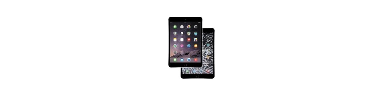 Riparazione iPad - Garanzia Torino