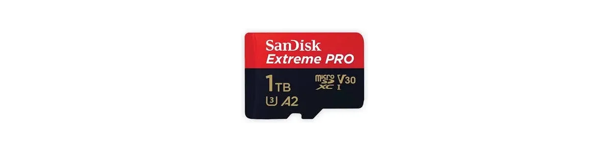 Carte micro SD