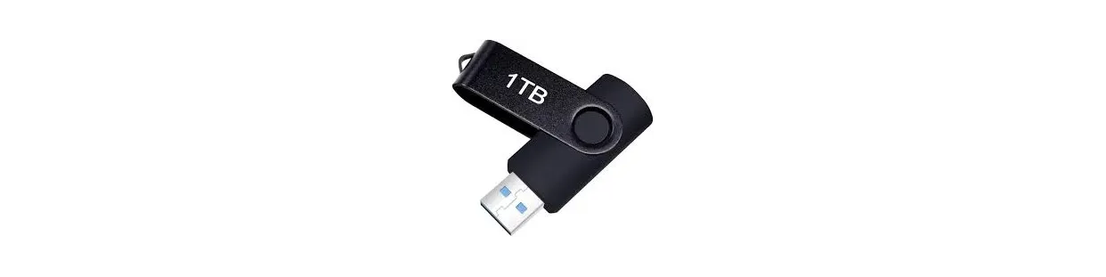 Memoria USB, unidades flash