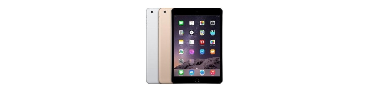 Riparazione iPad Mini 3 Retina A1599 - A1600