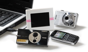Parrot cornice digitale